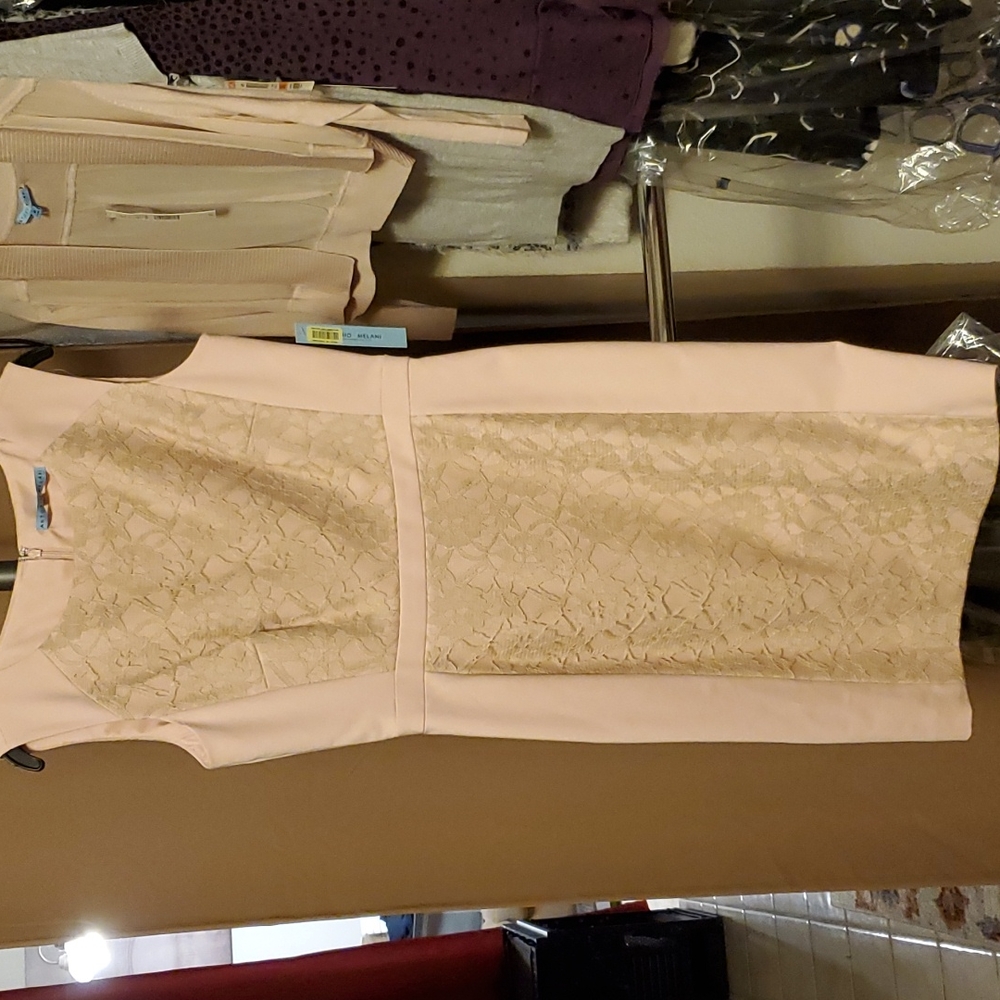 Antonio Melani Silvana dress size 6
